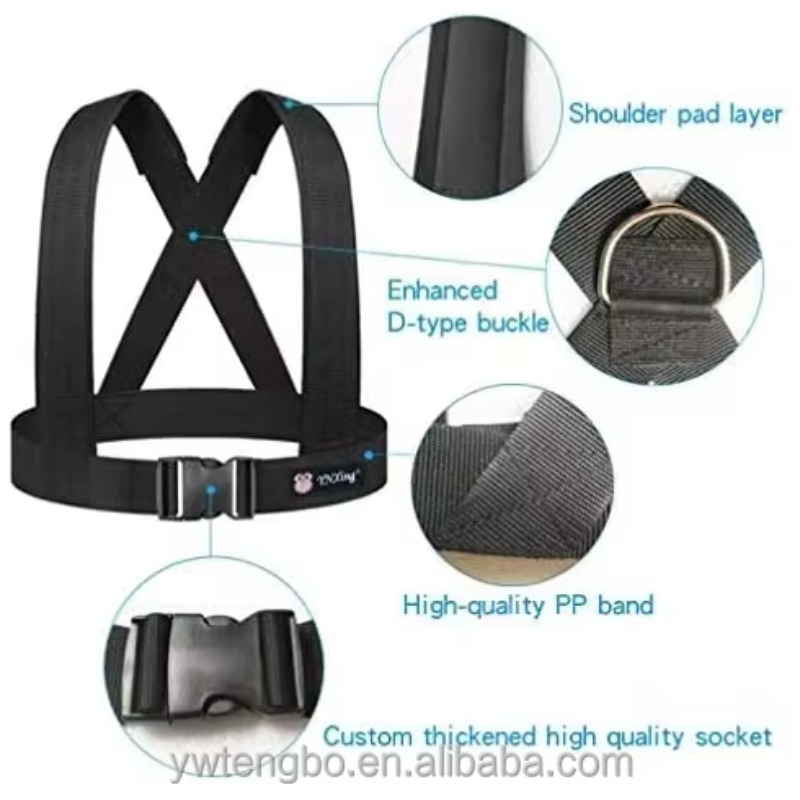 Dual Resistance Latex Pull Rop - Resistance Band ulasan dan harga